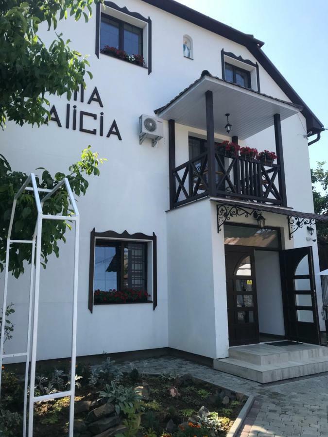 Villa Galicia Berehove  Eksteriør billede